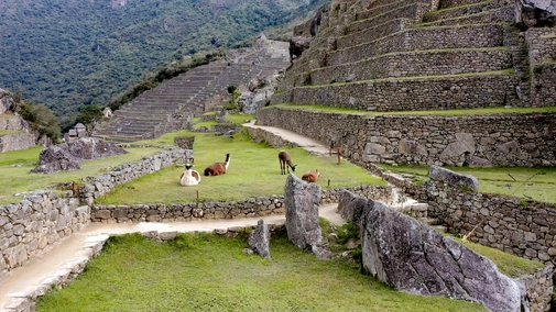 Machu Picchu: City of Stone