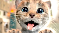 FUNNY CATS LITTLE KITTEN ADVENTURE Best Learning cartoon for kids with #cutecats