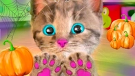 Little Kitten Adventure New Cat House Best Episodes Pet Educational Video for Toddlers & Kids