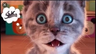Animated Little Kitten Fun Autumn Day | Advenrure Fun with Kitten & Friends A Cute cat Story
