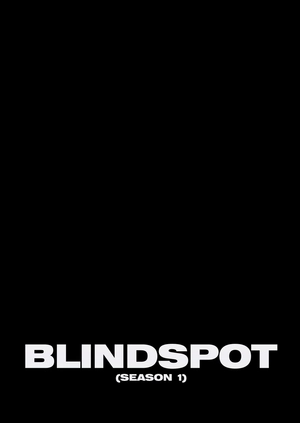 Blindspot (Season 1)