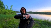 Ловля Хижака на Десні: Вечірній Вихід та Шалені Комарі