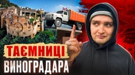 Що приховує ВИНОГРАДАР? Історія району, яку багато хто не знає