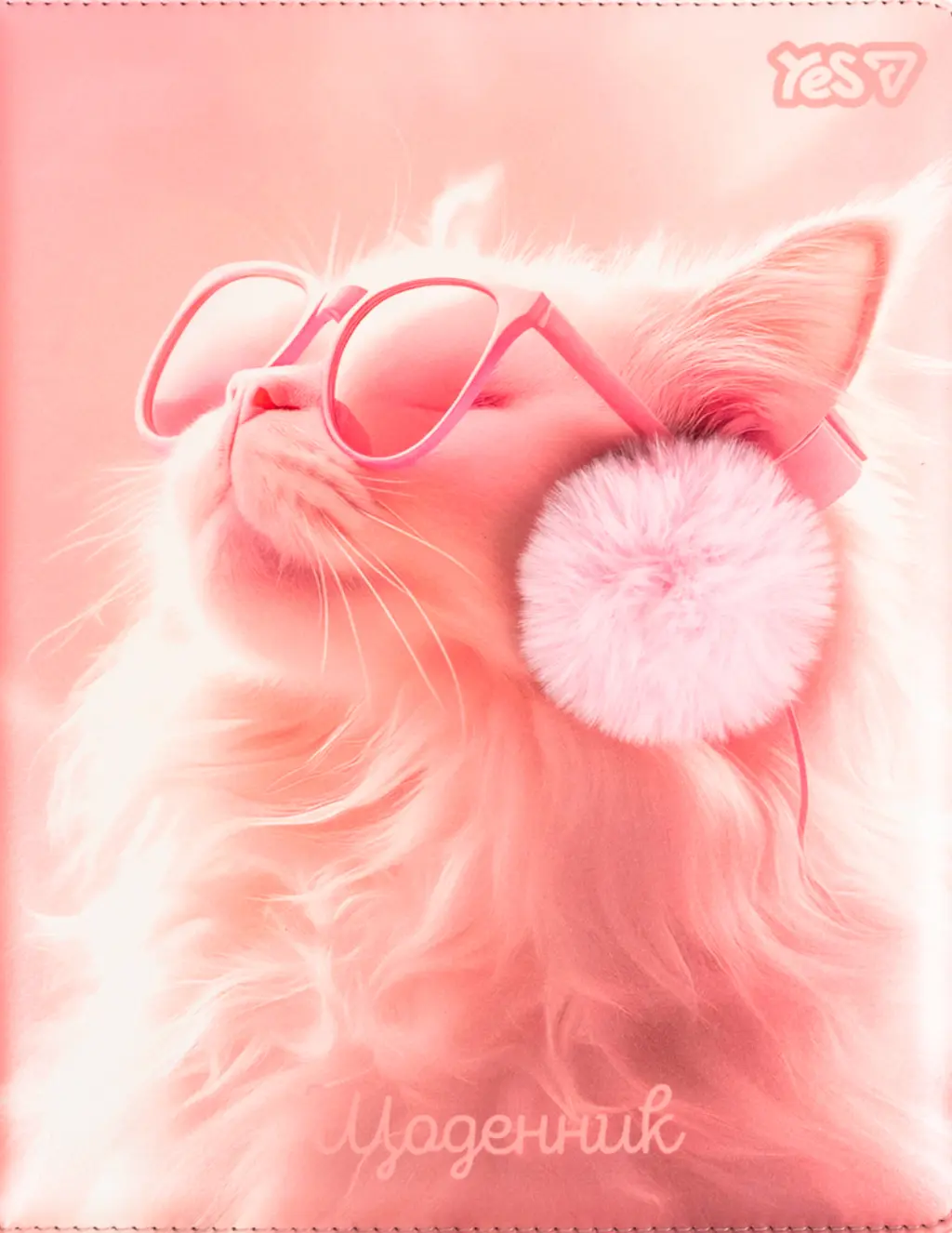 Обкладинка "Щоденник шкільний Yes Cat Dream PU 40 аркушів"