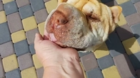 НЕ ОСВЯТИТЬСЯ ВОДА НА КИСИЛІ...ЧОМУСЬ БОЇТЬСЯ..