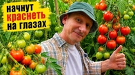 Серія 397