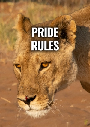 Pride Rules