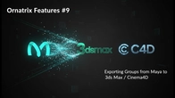 Ornatrix Features #9 - Exporting groups from Maya to 3ds Max/Cinema4D.