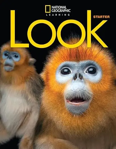 Look  Starter WB with the Spark Platform British English