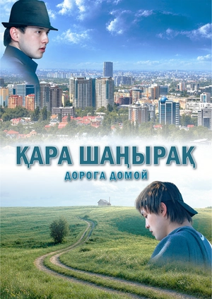 Дорога домой