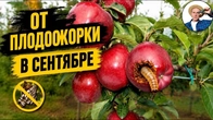 Серія 400