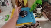 ЗУПИНИЛОСЯ СЕРЦЕ..