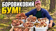 БОРОВИКОВИЙ БУМ НА ЧЕРНІГІВЩИНІ! ТАКОГО Я НЕ ОЧІКУВАВ!