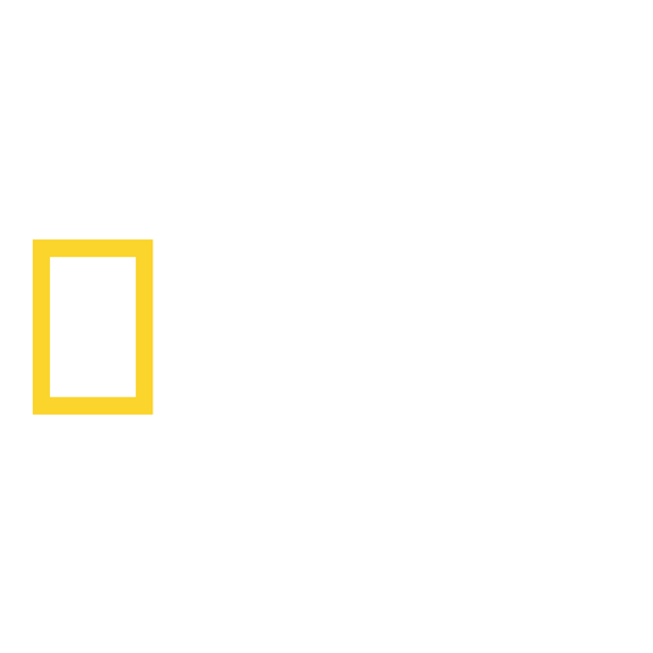 Логотип National Geographic HD