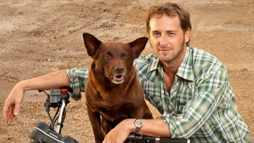 Рыжий пес (жестовым языком)