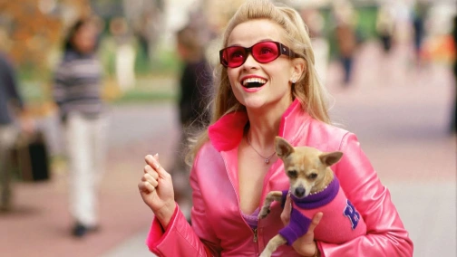 Film Blondinka V Zakone Legally Blonde Smotret Onlajn Besplatno I Legalno Na Megogo Net