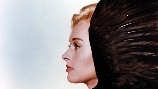 The Birds