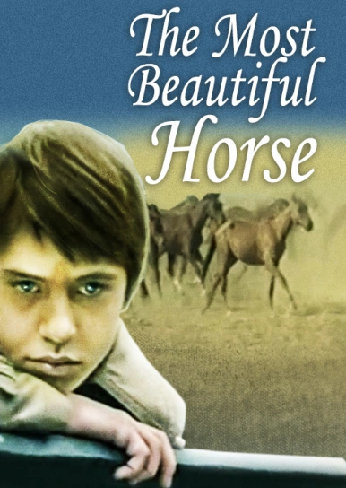 The Most Beautiful Horse