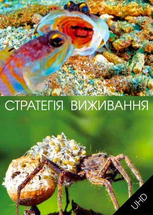 Стратегія виживання UHD