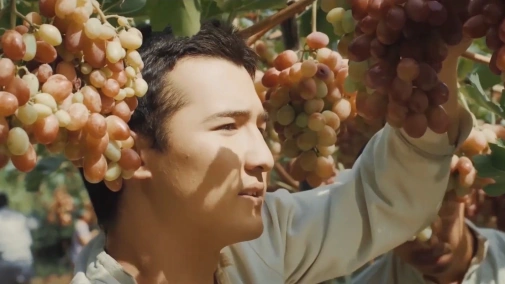 Город героев