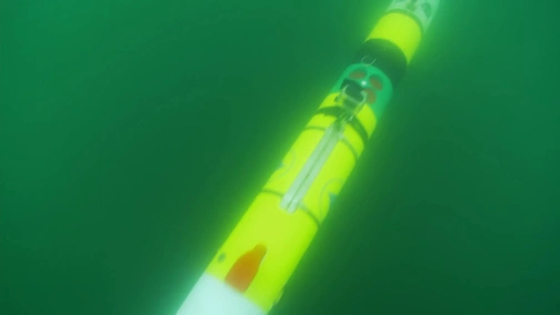 Охота на камеру: ответный удар