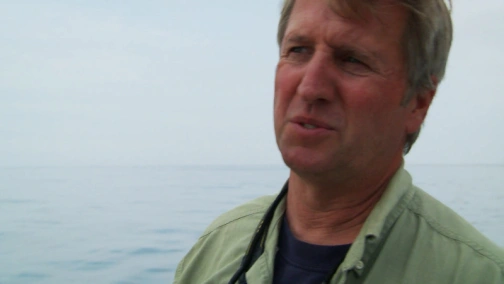 Охота на камеру: ответный удар