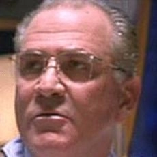 Andy Romano