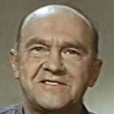 Aleksei Dobronravov