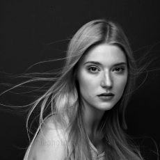 Morgan Wolk