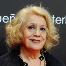 Terele Pávez