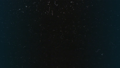 Трансляция: Illuminar vs Nemiga