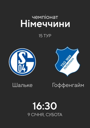 Round 15. Schalke — Hoffenheim. 4:0 Highlights