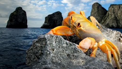 Всемирное природное наследие: Колумбия