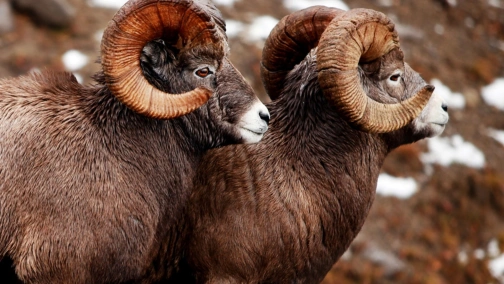 Сезоны перемен