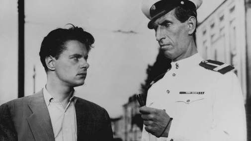 Вулиця сповнена несподіванок