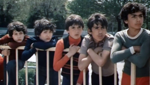 Звезды нашего двора