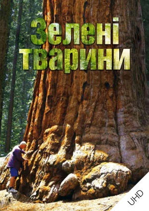 Зелені тварини UHD
