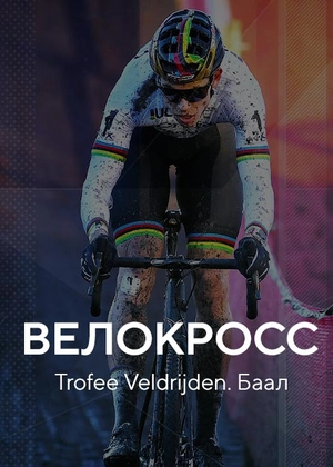 Велокросс. Trofee Veldrijden. Баал