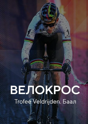 Велокрос. Trofee Veldrijden. Баал