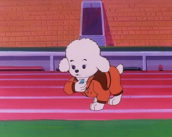 Simba Junior goes to new york