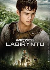 Więzień labiryntu — plakat