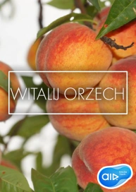 Witalij Orzech