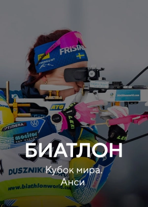 Биатлон. Кубок мира. Анси