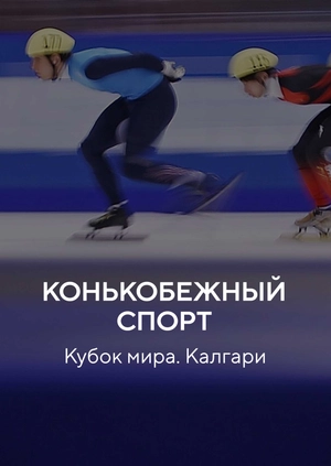 Конькобежный спорт. Кубок мира. Калгари