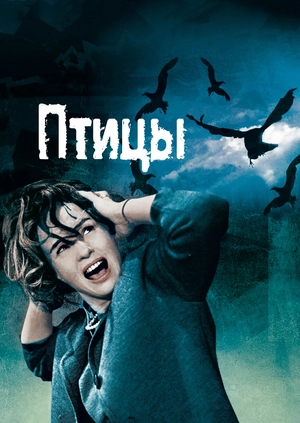 Птицы