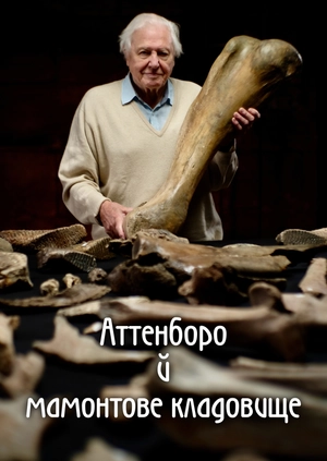 Аттенборо й мамонтове кладовище
