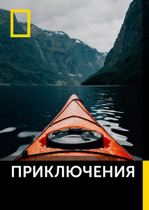 Приключения