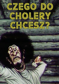 Czego do cholery chcesz?