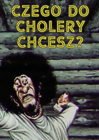 Czego do cholery chcesz?