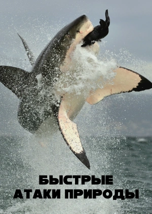 Быстрые атаки природы